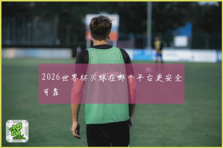 2026世界杯买球在哪个平台更安全可靠