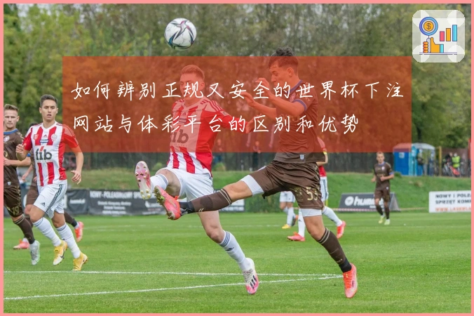 如何辨别正规又安全的世界杯下注网站与体彩平台的区别和优势