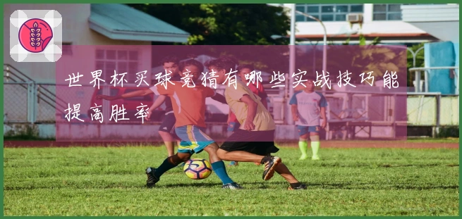 世界杯买球竞猜有哪些实战技巧能提高胜率