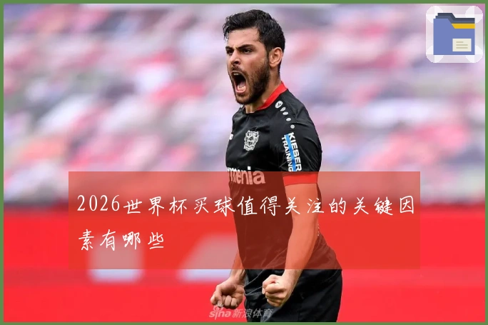 2026世界杯买球值得关注的关键因素有哪些