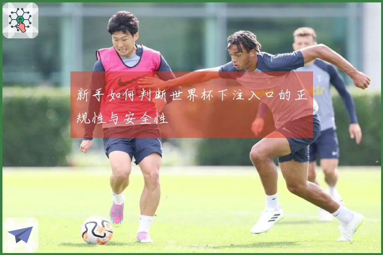 新手如何判断世界杯下注入口的正规性与安全性