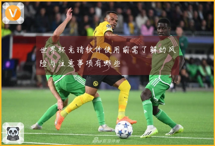世界杯竞猜软件使用前需了解的风险与注意事项有哪些