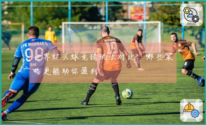 世界杯买球竞猜玩法对比：哪些策略更能助你盈利