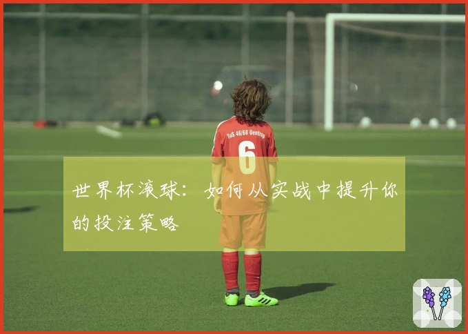 世界杯滚球：如何从实战中提升你的投注策略