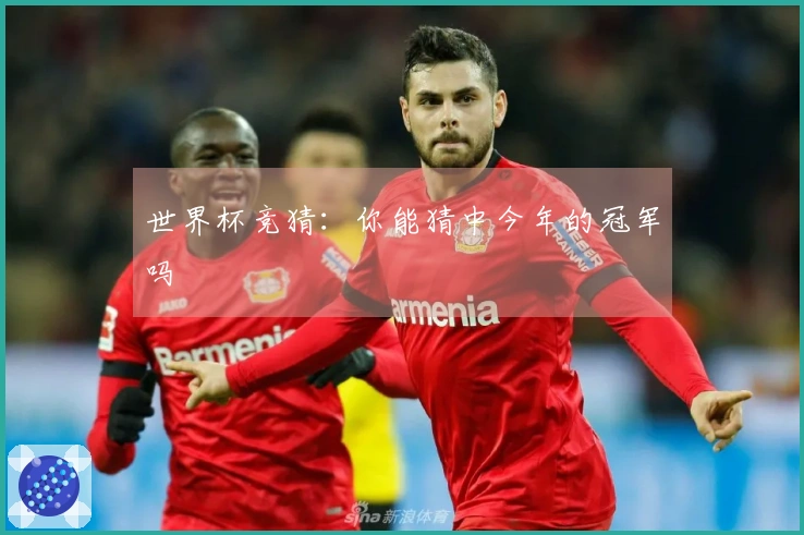 世界杯竞猜：你能猜中今年的冠军吗