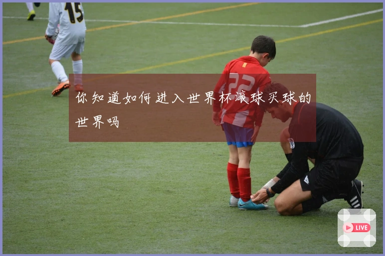 你知道如何进入世界杯滚球买球的世界吗