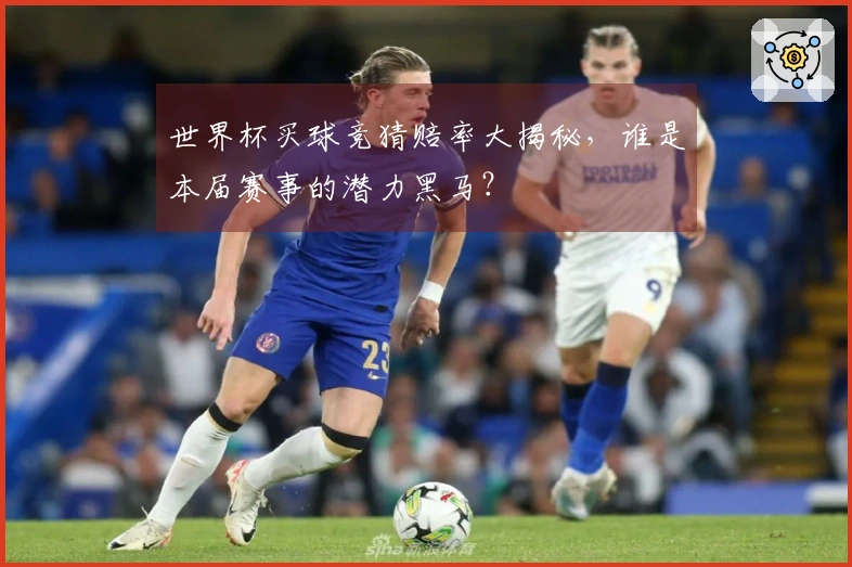 世界杯买球竞猜赔率大揭秘，谁是本届赛事的潜力黑马？