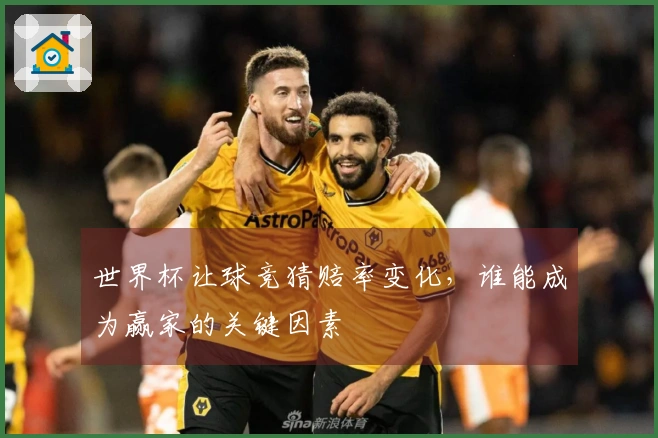 世界杯让球竞猜赔率变化，谁能成为赢家的关键因素