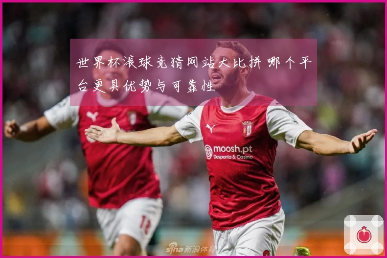 世界杯滚球竞猜网站大比拼 哪个平台更具优势与可靠性