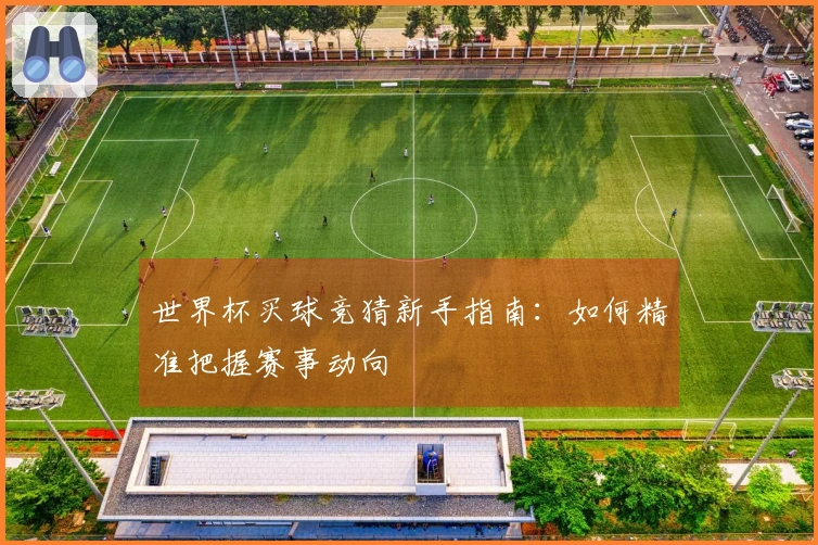 世界杯买球竞猜新手指南：如何精准把握赛事动向
