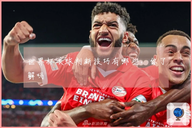 世界杯滚球判断技巧有哪些，你了解吗
