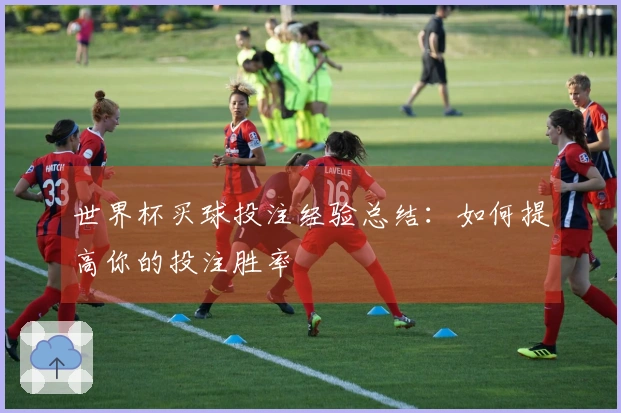 世界杯买球投注经验总结：如何提高你的投注胜率