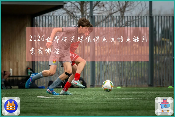 2026世界杯买球值得关注的关键因素有哪些