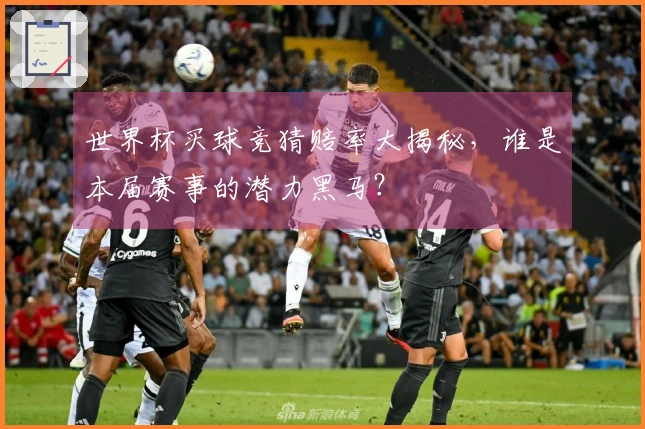 世界杯买球竞猜赔率大揭秘，谁是本届赛事的潜力黑马？