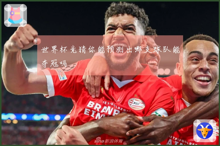 世界杯竞猜你能预测出哪支球队能夺冠吗