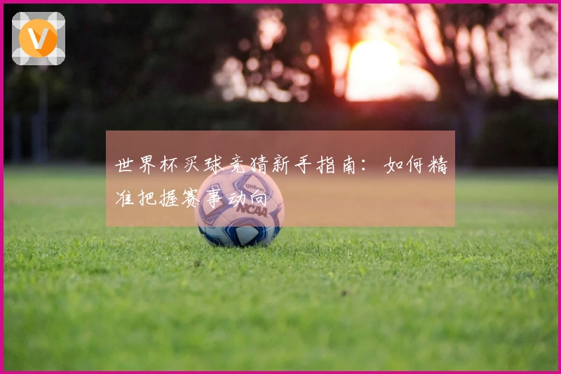 世界杯买球竞猜新手指南：如何精准把握赛事动向