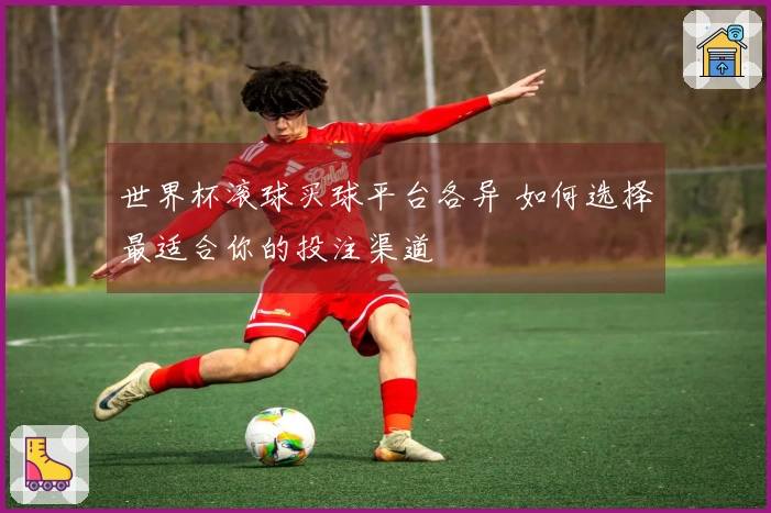 世界杯滚球买球平台各异 如何选择最适合你的投注渠道