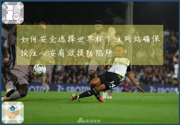 如何安全选择世界杯下注网站确保投注心安有效提防陷阱